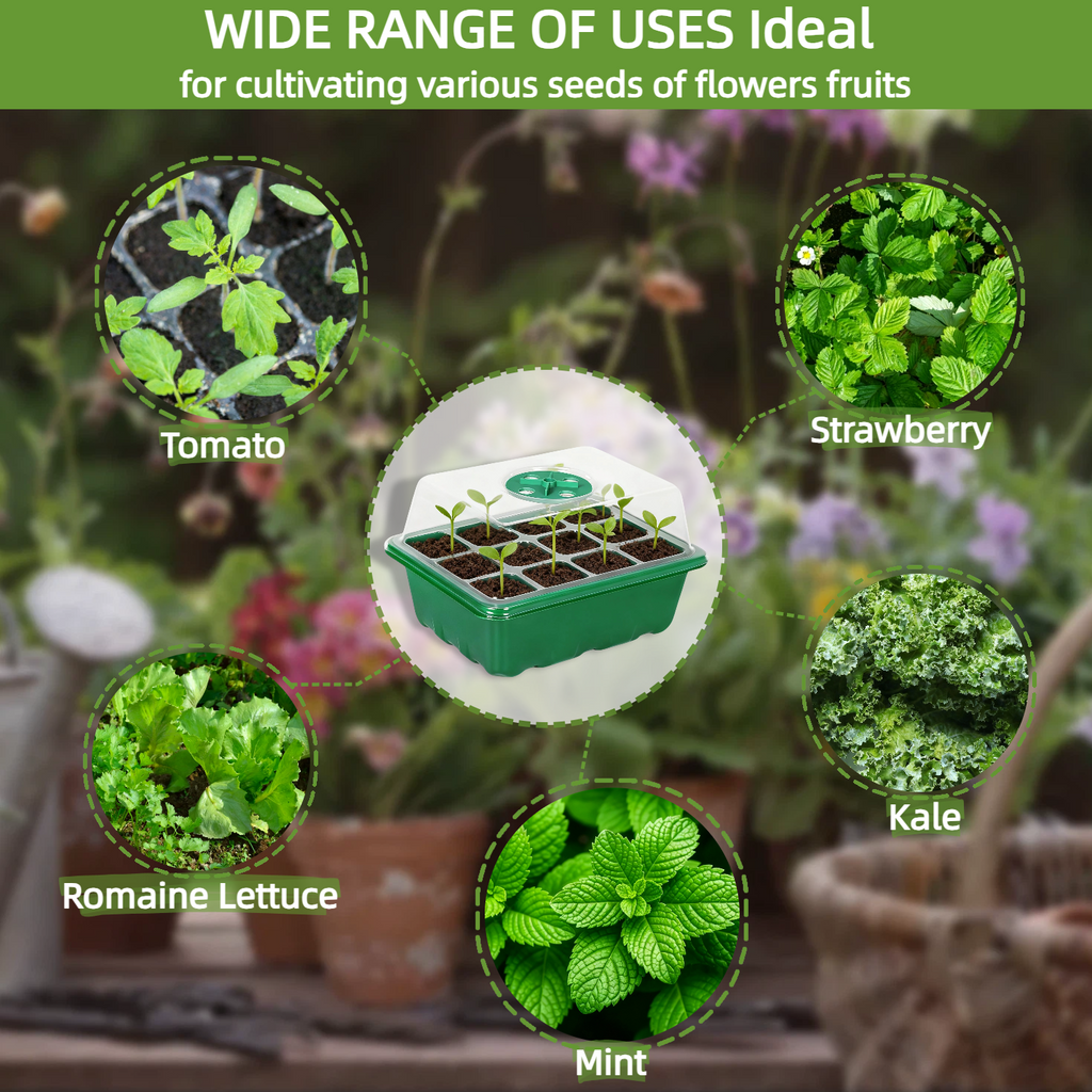 10 Packs Seed Tray  Starter Kit with Humidity Dome