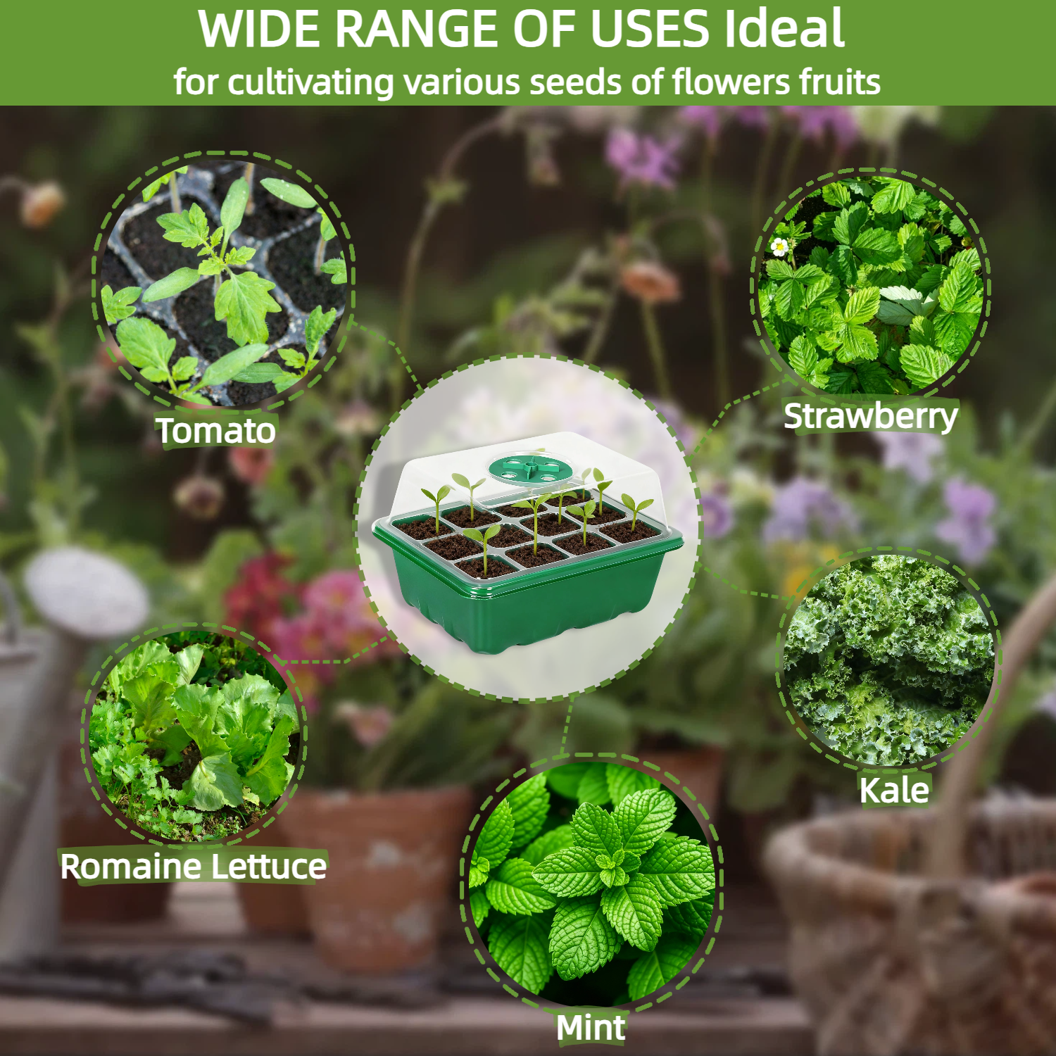 10 Packs Seed Tray  Starter Kit with Humidity Dome