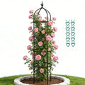 Garden Obelisk Trellis for Climbing Plants