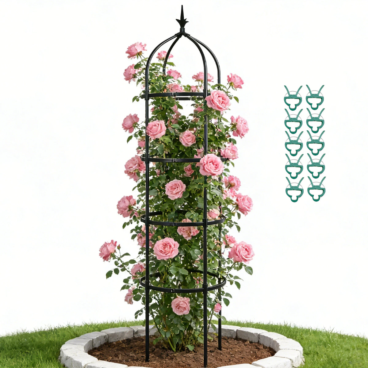Garden Obelisk Trellis for Climbing Plants