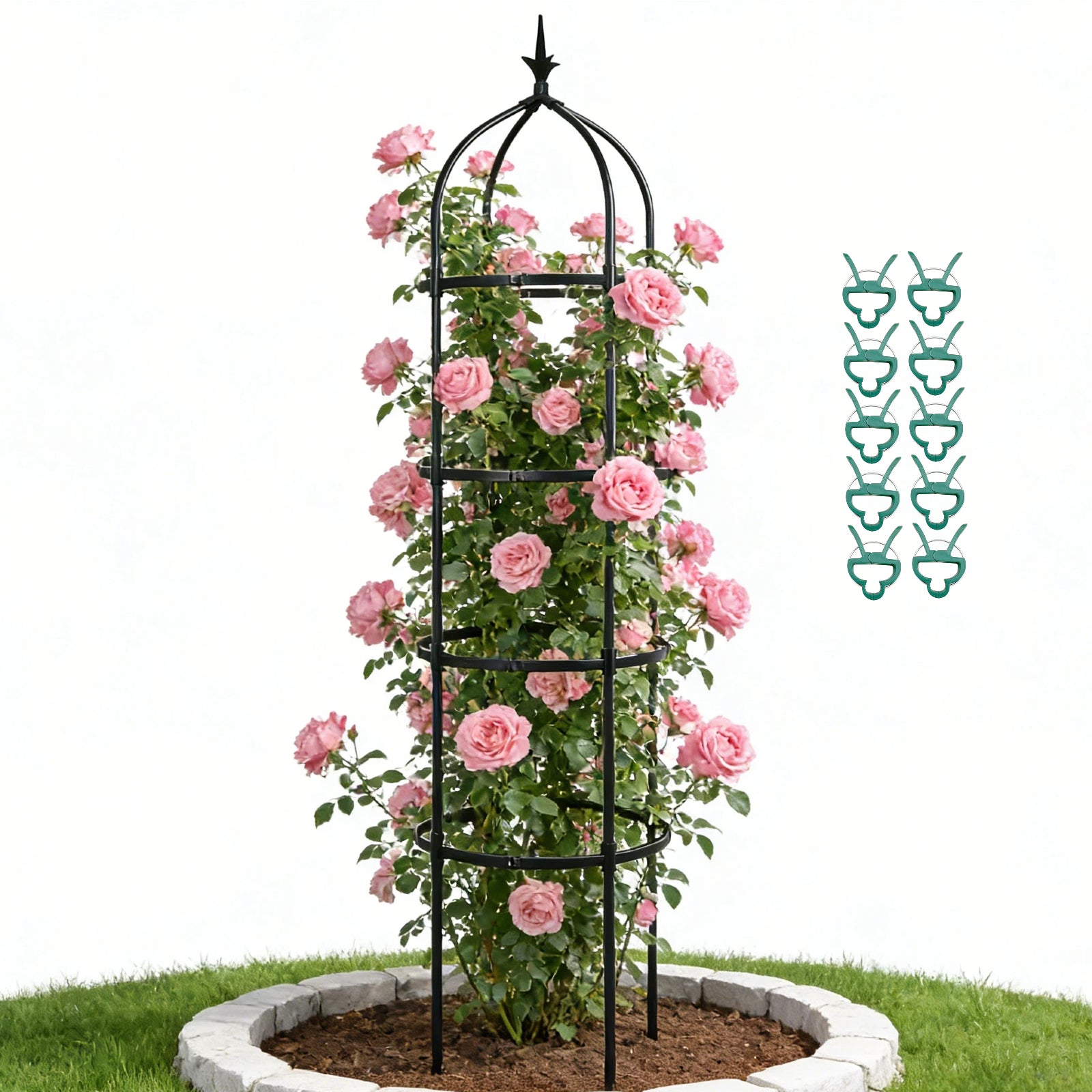 Garden Obelisk Trellis for Climbing Plants
