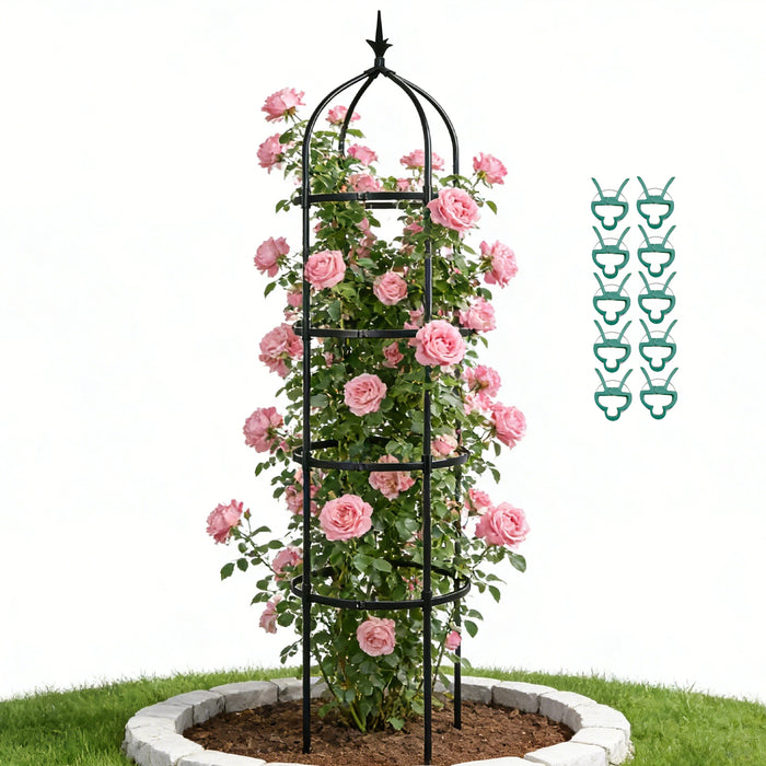 Garden Obelisk Trellis for Climbing Plants