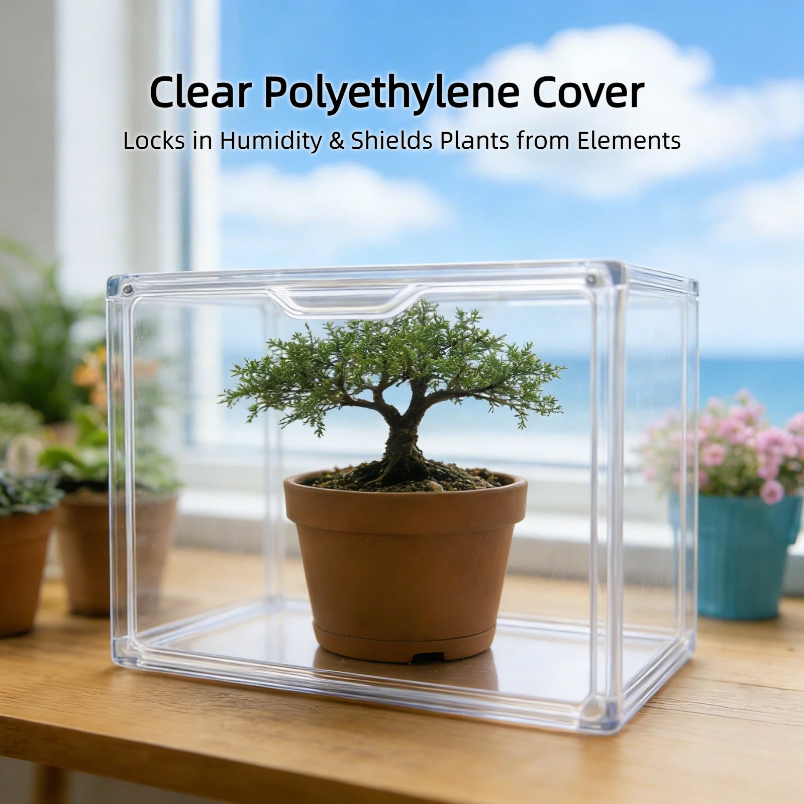 Mini Clear Greenhouse for Indoor