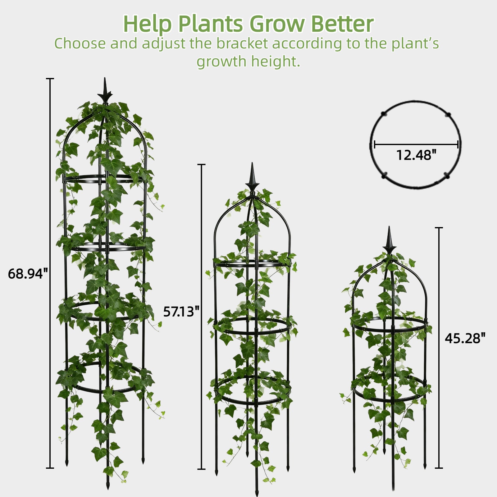 Garden Obelisk Trellis for Climbing Plants