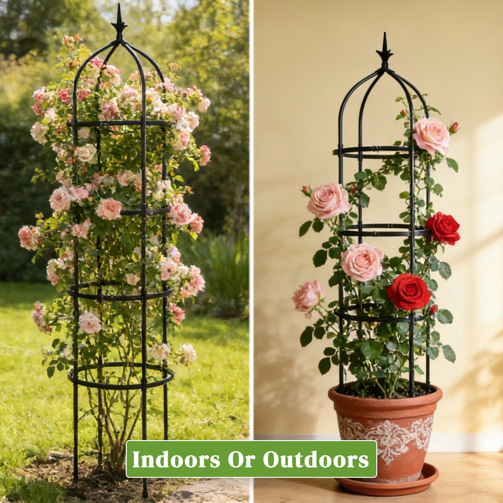 Garden Obelisk Trellis for Climbing Plants