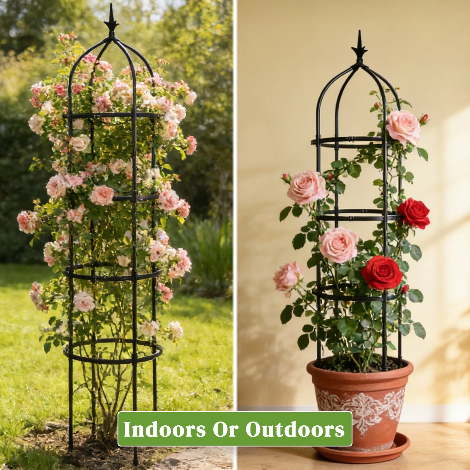 Garden Obelisk Trellis for Climbing Plants