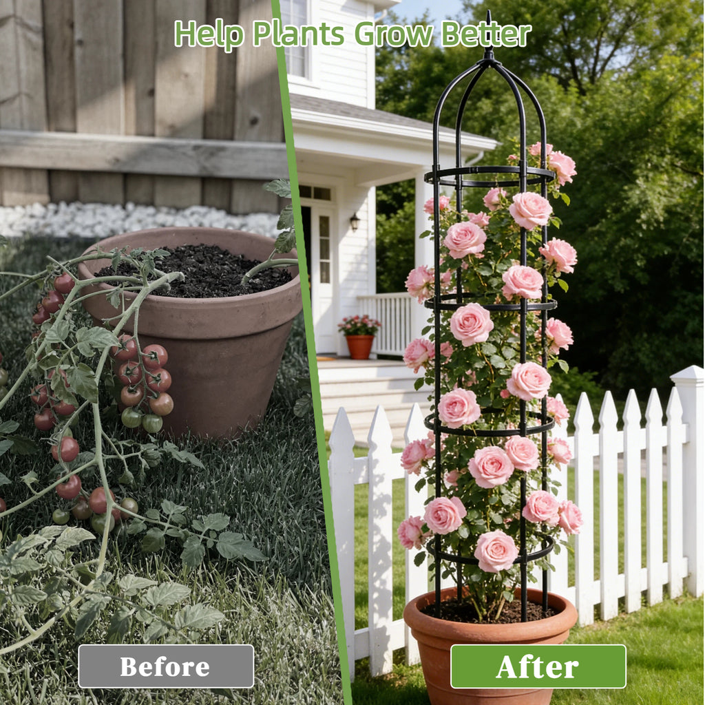 Garden Obelisk Trellis for Climbing Plants