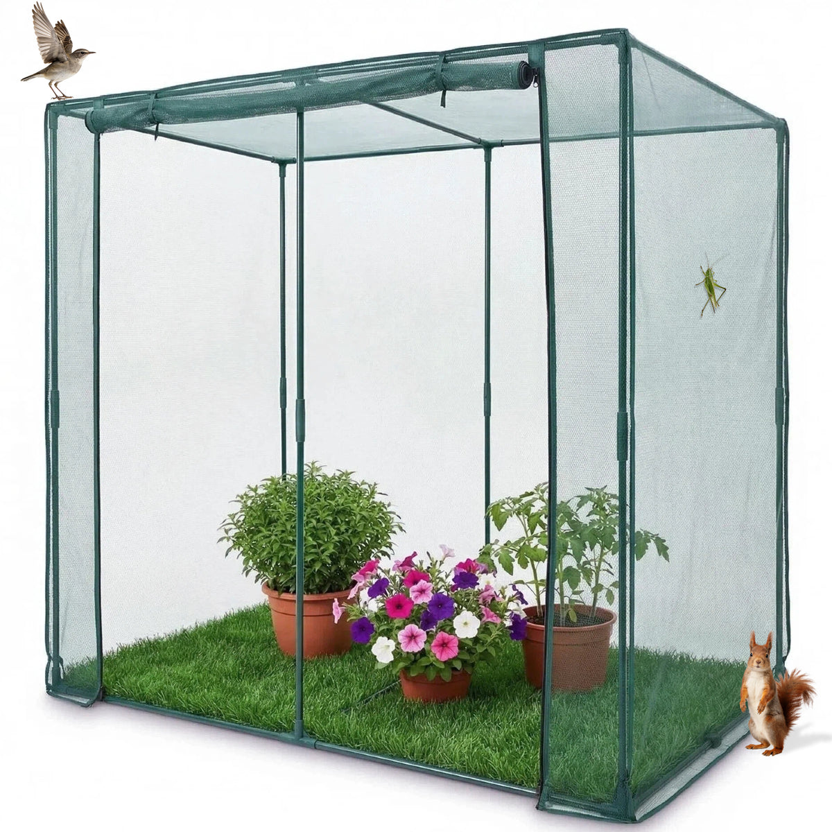 Steel Frame Crop Cage with Netting Cover