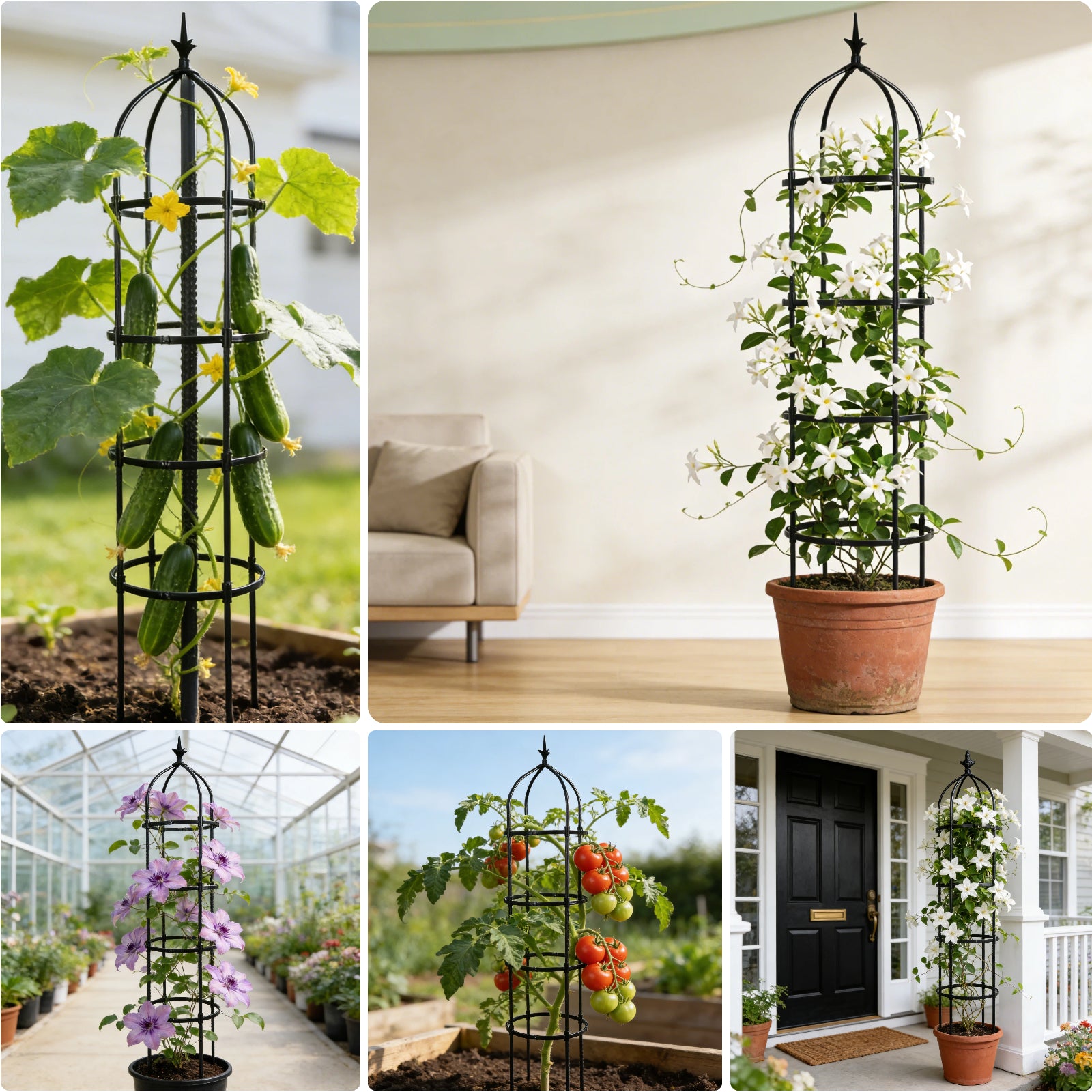 Garden Obelisk Trellis for Climbing Plants